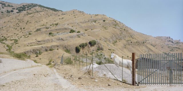 white horse fence salt mountain madonie paesaggi